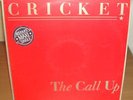 CRICKET  THE CALL UP 12