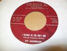 Kip Anderson Great Black Rocker R&B 45 on Derrick