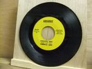 Candace Love northern soul 45 Wonderful Night Aquarius