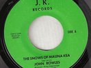 JOHN ROWLES 45 RPM VINYL RECORD ON J. R. DON COSTA PROD