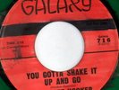rare Soul R&B 45 JOHN LEE HOOKER you gotta shake Hear
