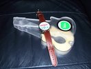 The Beatles OFFICIAL APPLE WATCH and Guitar Case FAB
