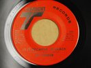 SYL JOHNSON Is It Because I'm Black 45 FUNK SOUL
