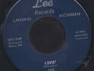 The Maruders Nightmare Rare Michigan Psych 45 Lee HEAR