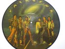Jacksons VICTORY picture disc vinyl LP michael jackson