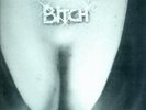 Bitch Damnation Alley
 12