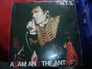 ADAM ANTS/ADAM ANT  A.N.T.S. 2lp JAPANESE