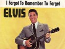 Elvis  German 45 Mystery Train  Devil-Hülle 47-6357