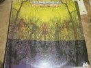 American Blues- Do Their Thing  psych  garage