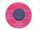 SUN-RA & ARKESTRA/COSMIC RAYS-DREAMING,SATURN,RARE 45
