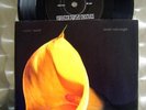 ROBERT MAPPLETHORPE 7” ART COVER SWANS