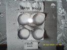 SATIN WHALE - DESERT PLACES