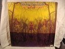 AMERICAN BLUES Do their Thing ORIG heavy PSYCH ZZ TOP