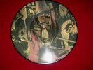 Slayer Reign in Blood Pic. LP/Vinyl