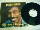 Billy Jones - Birds Of The Sea RARE  LP PROMO 1975