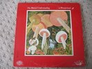 MUTUAL UNDERSTANDING In Wonderland POKORA 4* ACID PSYCH