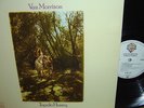 Van Morrison            - Tupelo Honey -    TOP ZUSTAND