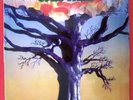 Studiker – Oak Tree / Randy Pie / rare Soul Kraut Orig