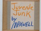 MAXWELL Juvenile junk US LP Texas Psych Charlie Sexton