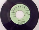 Robert Tanner Super Rare Megatone NM- 45rpm  NR