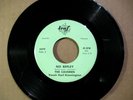 THE CAVEMEN No Reply ** local WI Garage Beatles cover