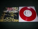Iron Maiden - Prowler(RARE JAPANESE 7