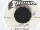 DELROY WILSON - FEEL GOOD ALL OVER/MOMENT - 7