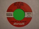 DISRAELI What Will Fading Yellow NW Pop Psych 45 LISTEN