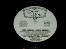 V/A Future Looks Bright PROMO LP Punk HC KBD TSOL CH3