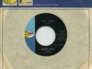 LISTEN-Rare Garage 45-Cathy Rich- Kim Fowley-Wild Thing