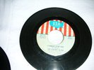 Garage Punk 45  The Cherry Slush I Cannot Stop You