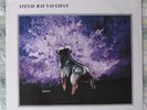 Stevie Ray Vaughan Looking At You LP Flashback 12