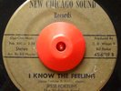 Funk 45 JESSE FORTUNE & VIOLATORS I Know The Feeling