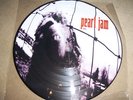 PEARL JAM - VS - Picture Disc -VINYL -foc