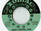 ruby andrews - just loving you - zodiac 1010 - soul 45