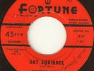 DOCTOR ROSS & ORBITS Cat Squirrel FORTUNE blues 45 1959