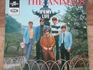 The ANIMALS 
