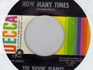 garage punk ROVIN' FLAMES How Many Times   HEAR