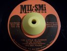70s Deep Soul 45 DEE DEE YOUNG Too Little In Common