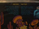 LP the LONG TALL TEXANS - SINGING TO THE MOON - UK 1991