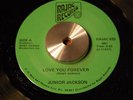 Junior Jackson-Love You Forever NORTHERN SOUL 45 LISTEN