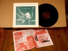 DEEP FREEZE MICE-Saw A Ranch House Burning-/ORIG LP NM