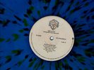 THE B-52'S ROCK LOBSTER  MAXI blue   COLOR Colombia 12