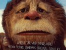 RARE karen o where the wild things are lp yeahyeahyeahs