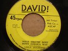 LEILA DUCHENSE Down Jamaica Way ISLAND SISTER FUNK 45