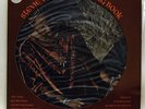 Stevie Wonder    Talking book     Picture Disk   NM # D