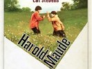 Harold and Maude Cat Stevens LP soundtrack Bud Cort