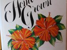 Nohelani Cypriano Lihue Hawaii Rare Groove Funk LP HEAR