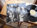SHIVER WALPURGIS 1969 SWISS MONSTER ORIGINAL MARIS RAAR
