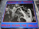 YOUTH OF TODAY BREAK DOWN THE WALLS WISHINGWELL 4 1986